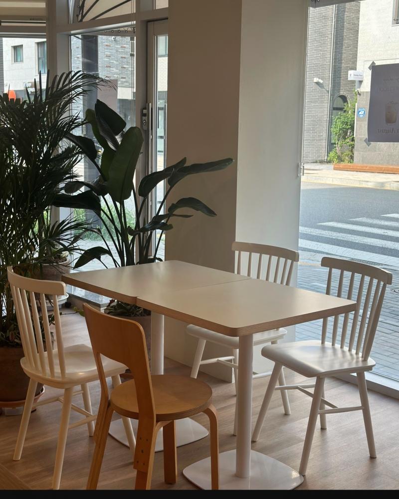CAFE LAZY SHEEP-7